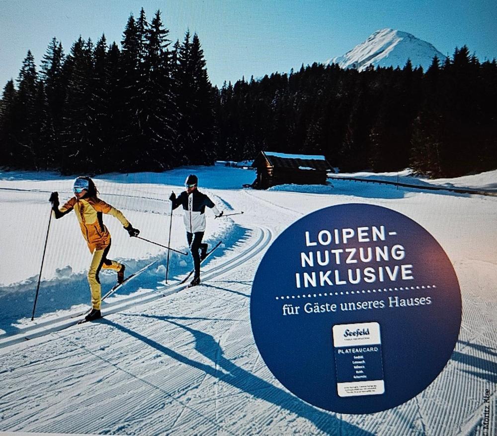 Apartament Alpineas Leutasch Zewnętrze zdjęcie